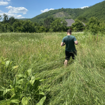 Продается Участок, 4000 м²