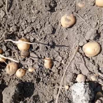 Продается Дом, 25 м²