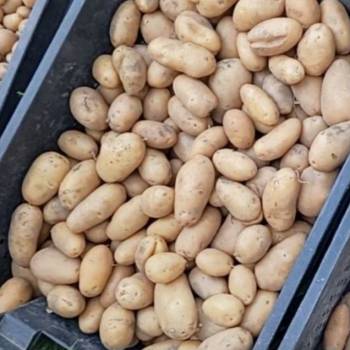 Продается Дом, 25 м²