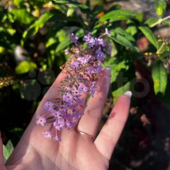 Продается Дом, 24 м²