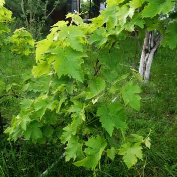 Продается Участок, 400 м²