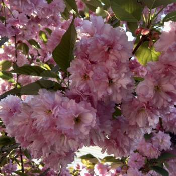 Продается Дом, 122 м²