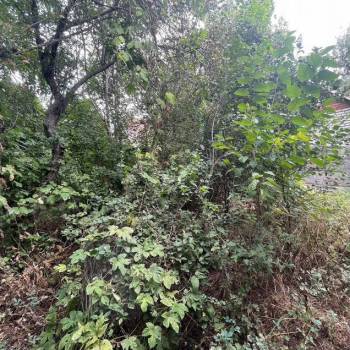 Продается Участок, 400 м²