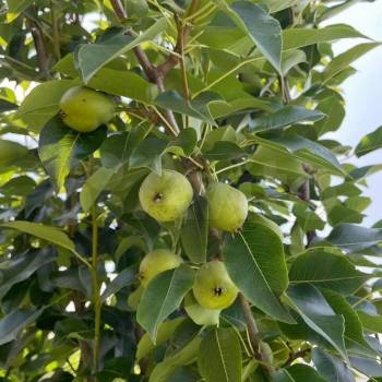 Продается Дом, 70 м²