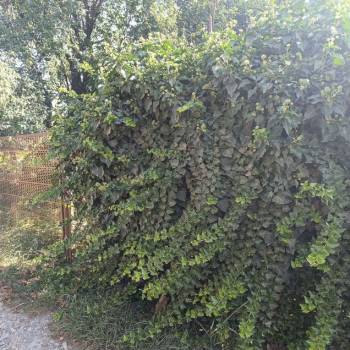 Продается Участок, 400 м²