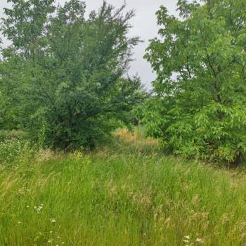 Продается Участок, 450 м²