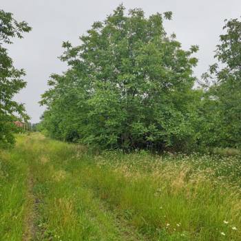 Продается Участок, 450 м²