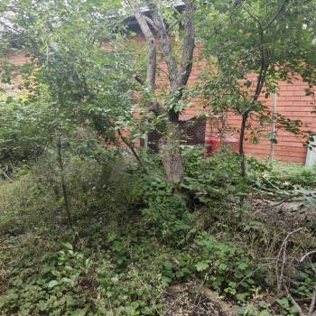 Продается Дом, 12 м²