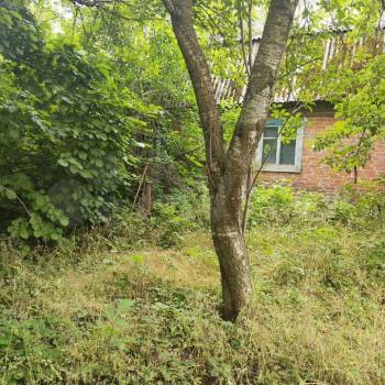 Продается Дом, 12 м²