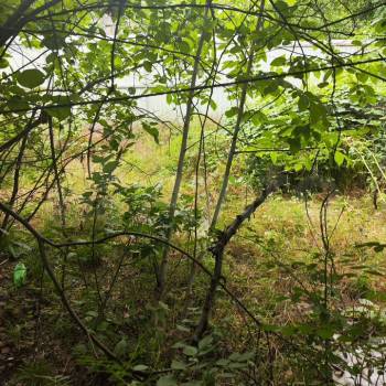 Продается Дом, 12 м²