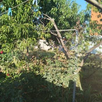 Продается Дом, 48 м²