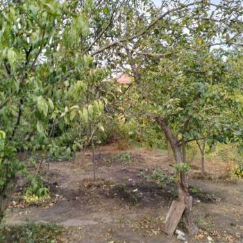 Продается Дом, 60 м²