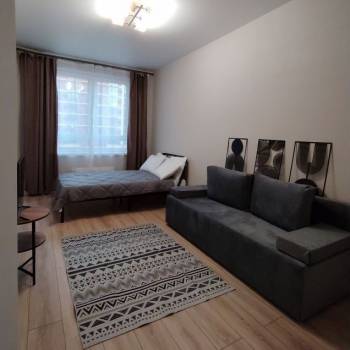 Сдается 1-комнатная квартира, 35,3 м²