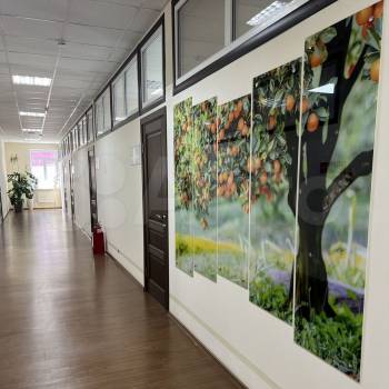 Сдается Офис, 40 м²