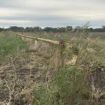 Продается Участок, 3100 м²