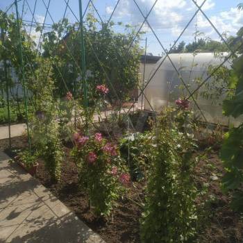 Продается Дом, 113 м²