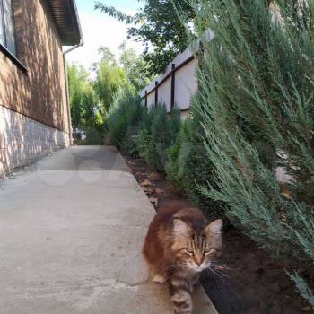 Продается Дом, 113 м²