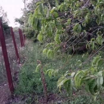 Продается Участок, 610 м²