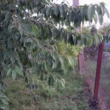 Продается Участок, 610 м²