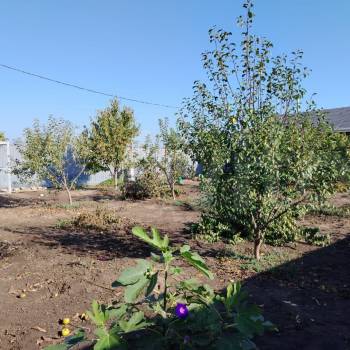 Продается Дом, 76 м²