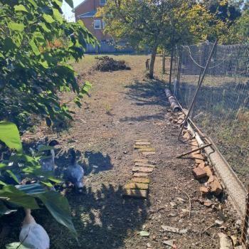 Продается Дом, 96,2 м²