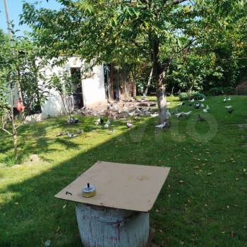 Продается Дом, 486 м²