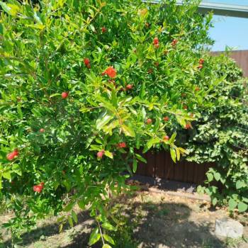 Продается Дом, 486 м²