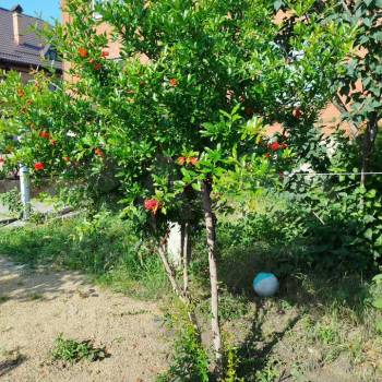 Продается Дом, 486 м²