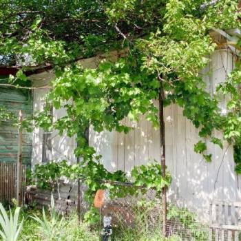 Продается Дом, 57 м²