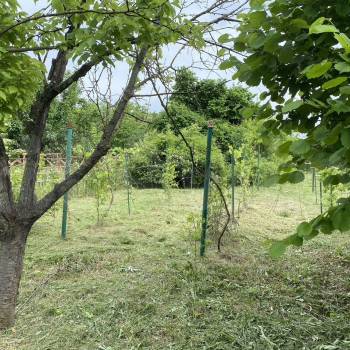 Продается Дом, 42 м²