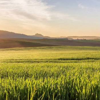 Продается Участок, 500 м²