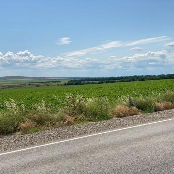 Продается Участок, 18300 м²