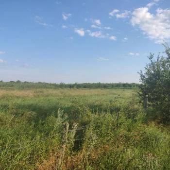 Продается Участок, 17000 м²