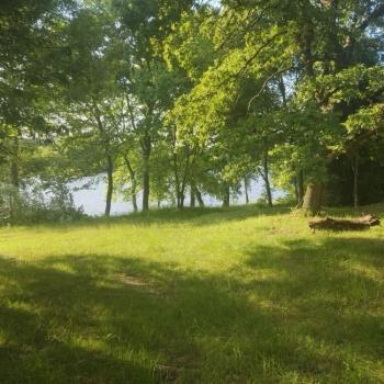 Продается Участок, 17000 м²