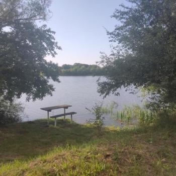 Продается Участок, 17000 м²