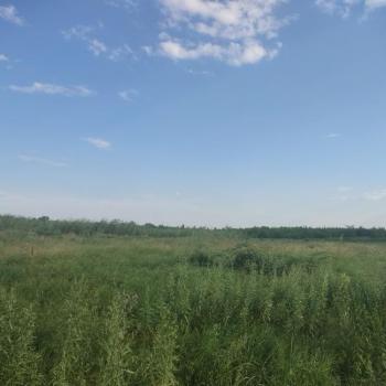 Продается Участок, 17000 м²