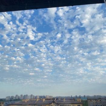 Продается 2-х комнатная квартира, 45,2 м²