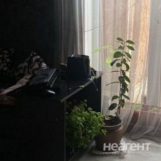 Продаю дом, Дружелюбный, хозяин