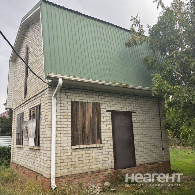 Фотография №3