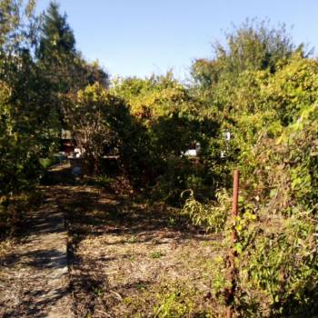 Продается Участок, 400 м²