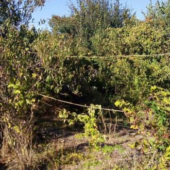 Продается Участок, 400 м²