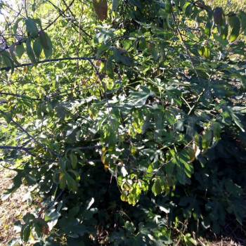 Продается Участок, 400 м²