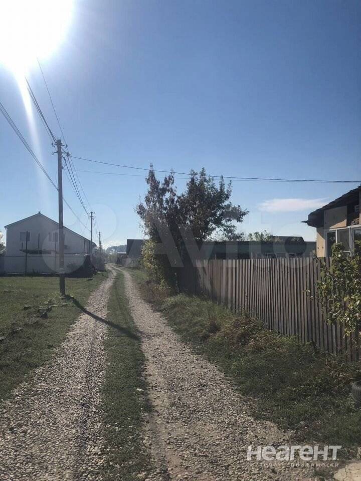 Фотография №3