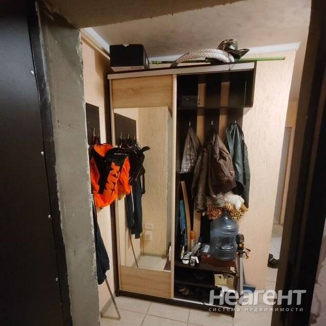 Фотография №2