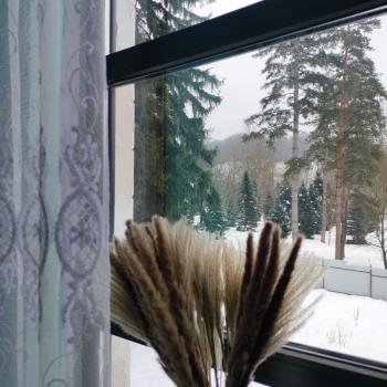 Сдается Посуточно, 23 м²