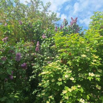 Продается Дом, 84 м²