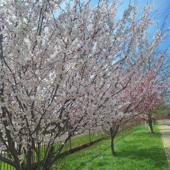 Продается Дом, 84 м²