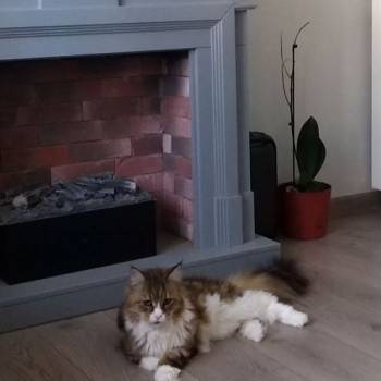 Продается 2-х комнатная квартира, 70 м²