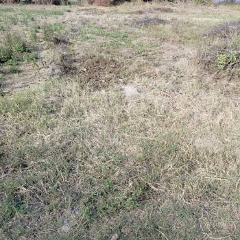 Продается Участок, 800 м²