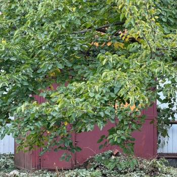 Продается Участок, 500 м²